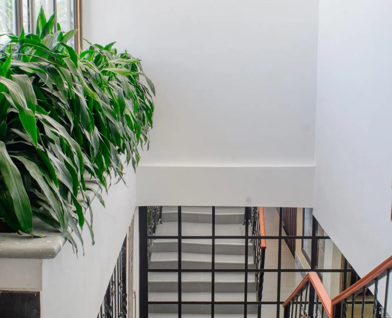 Dusano Boutique Hotel Santa Marta